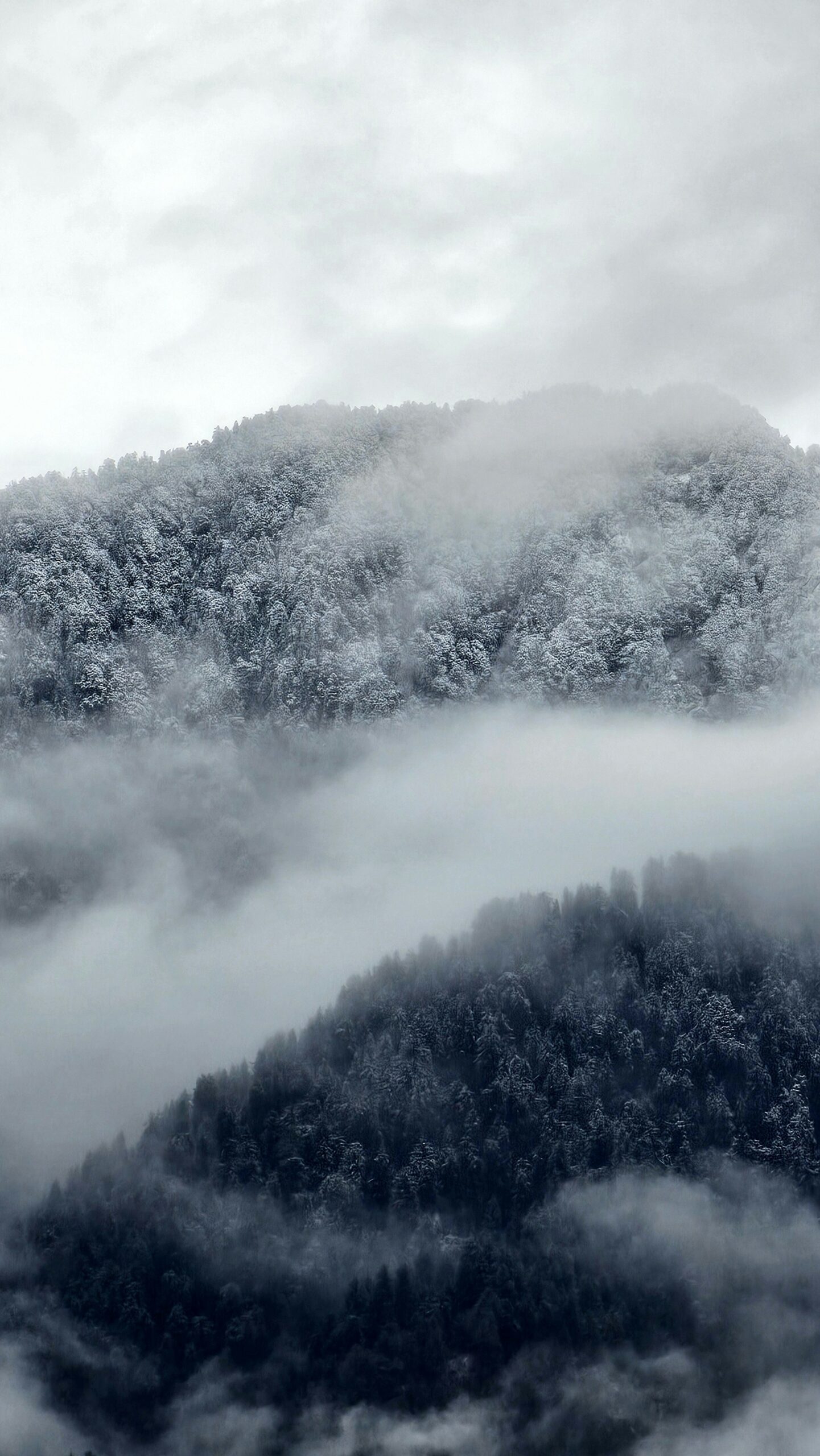 Tirthan Valley for Forest Escapes, Riverside Stays and Nature-Led Slow Travel